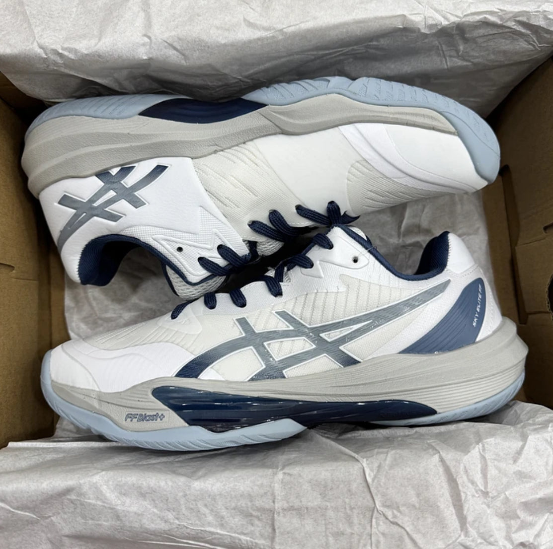 Asics Sky 3 Low White Blue