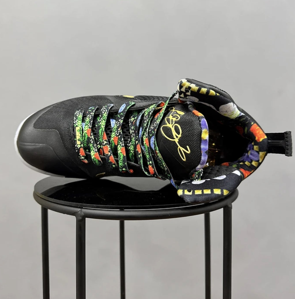 Nike Lebron 9 King