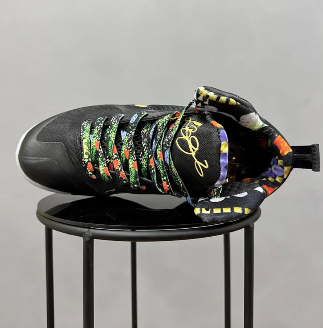 Nike Lebron 9 King