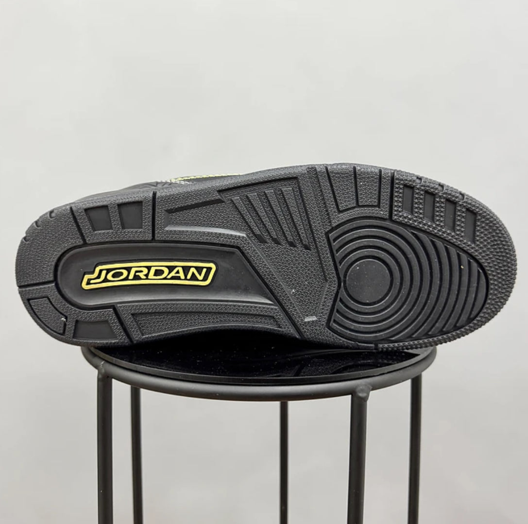 Jordan Retro 3 Black History