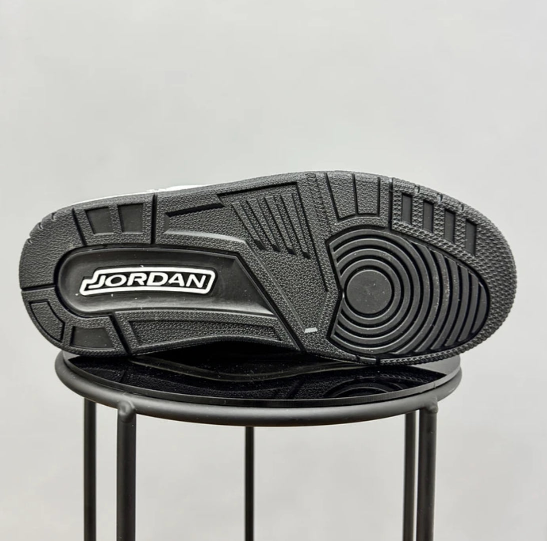 Jordan Retro 3 Animal Icon
