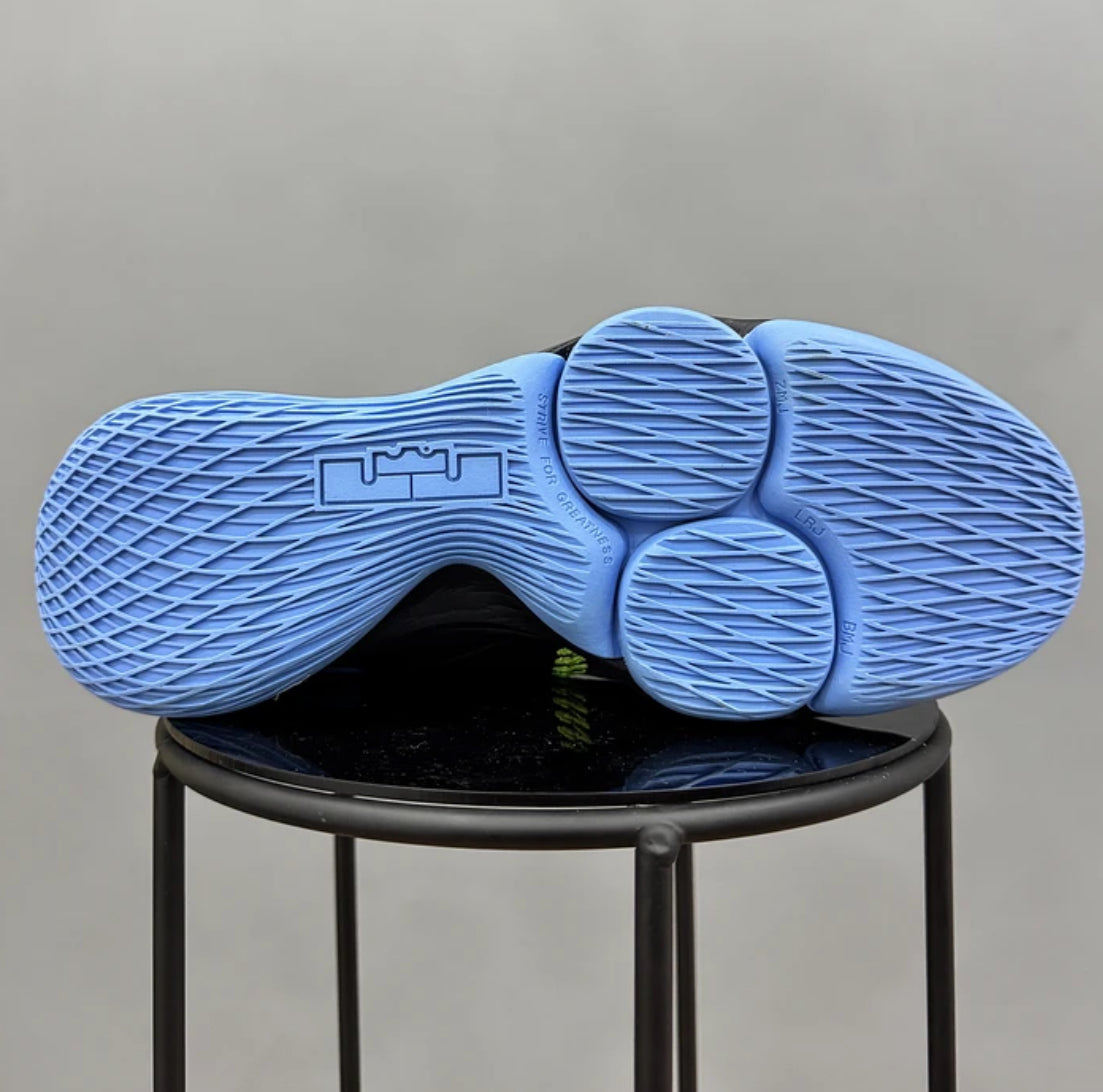Nike Lebron Witness 5 Black Blue
