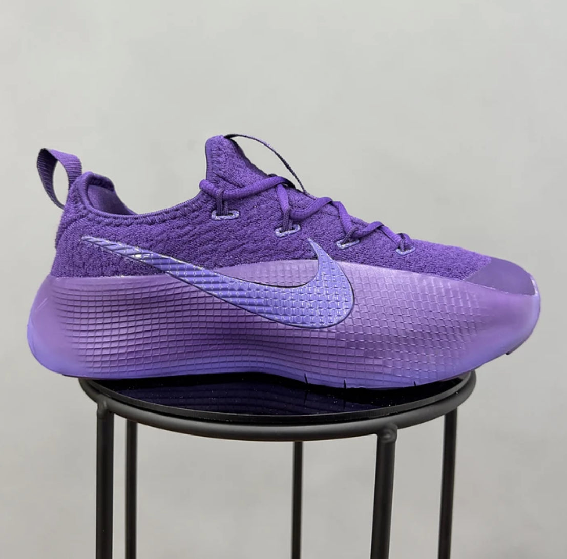 Nike Lebron Tr 1 Purple RAIN