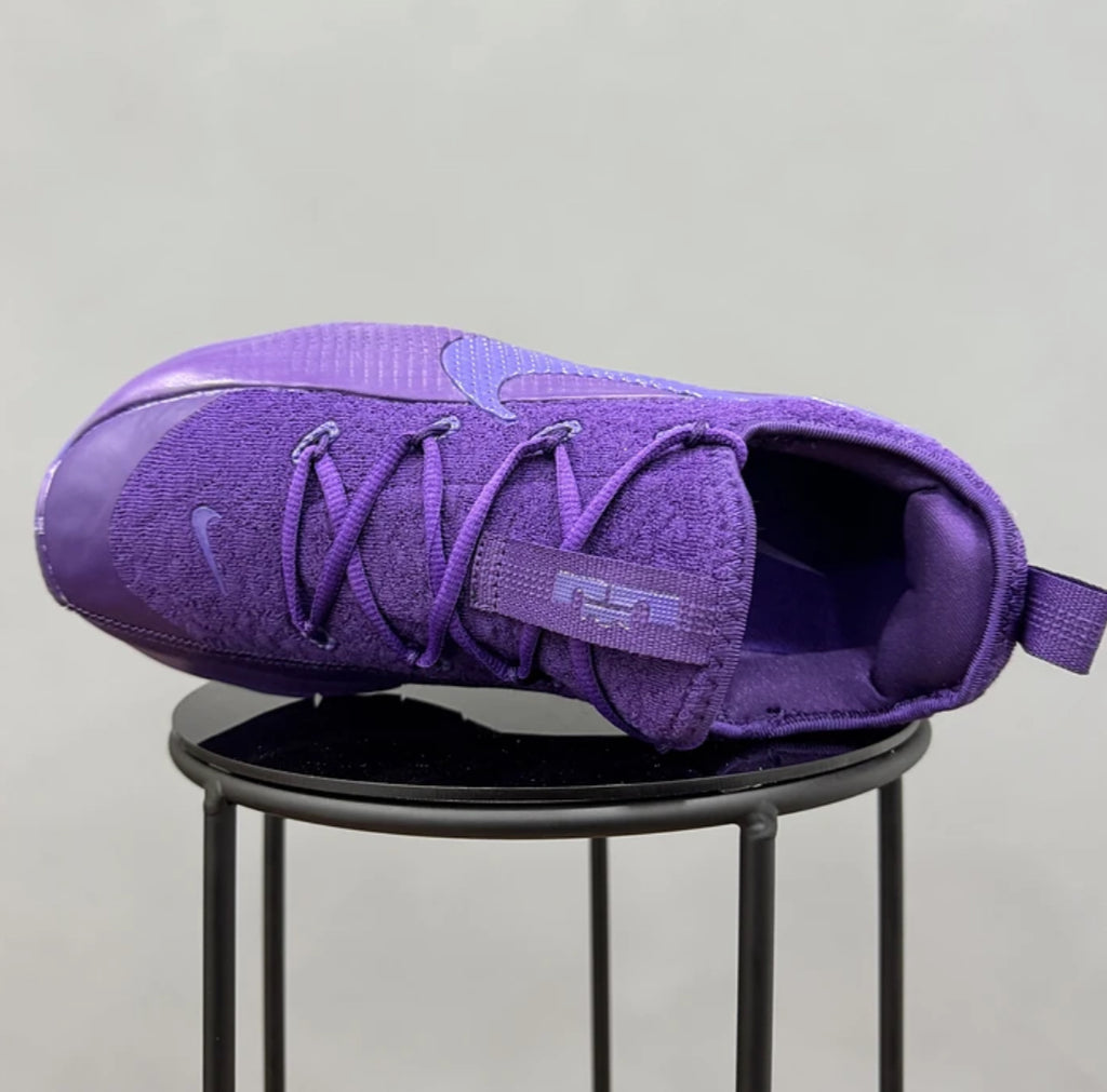 Nike Lebron Tr 1 Purple RAIN