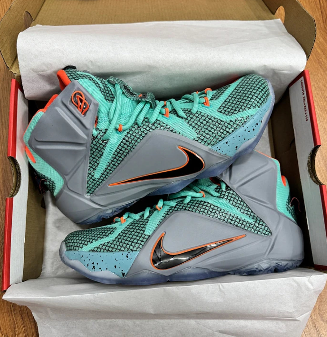 Nike Lebron 12 NSRL