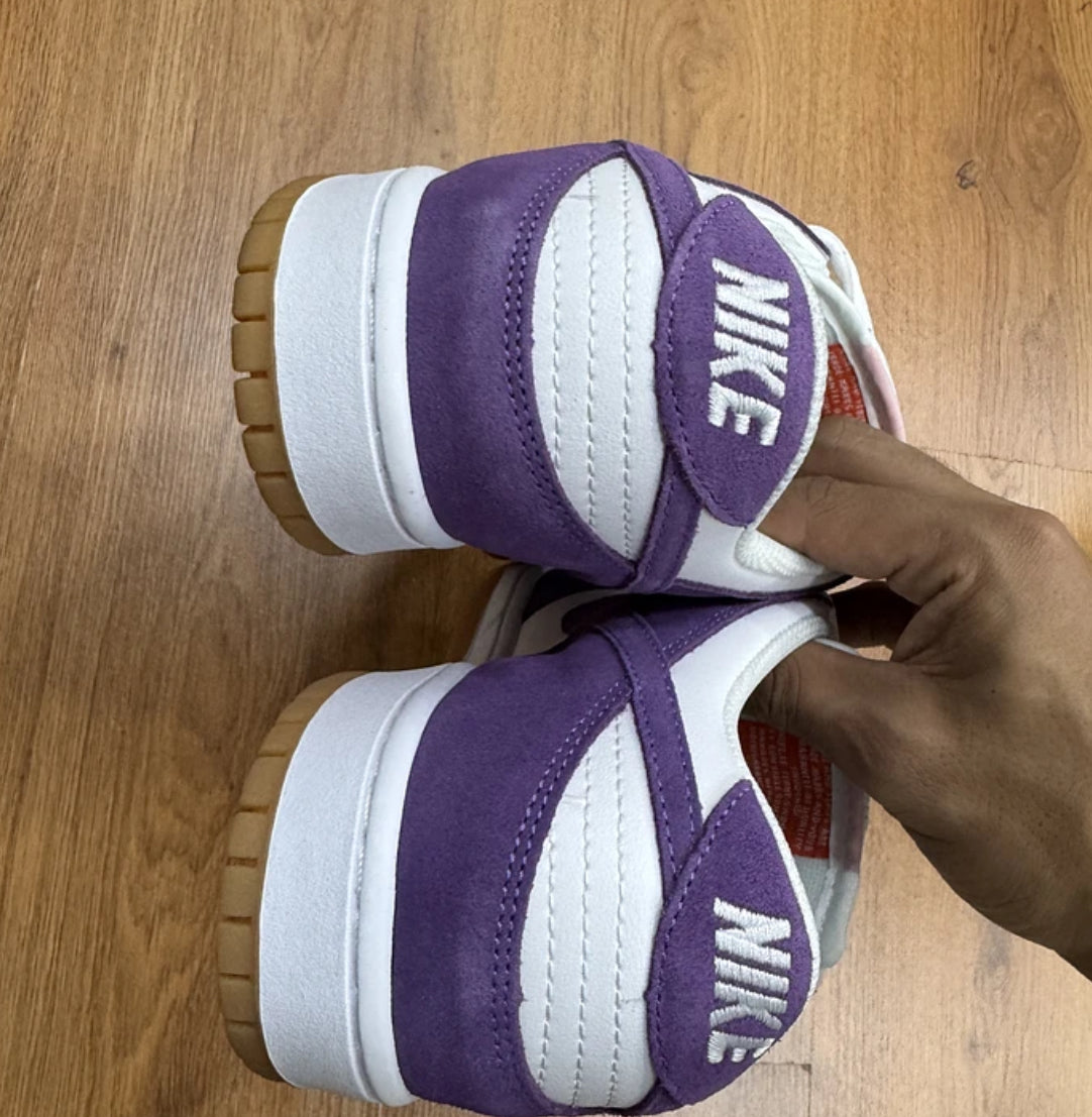 Nike Sb Dunk Court Purple