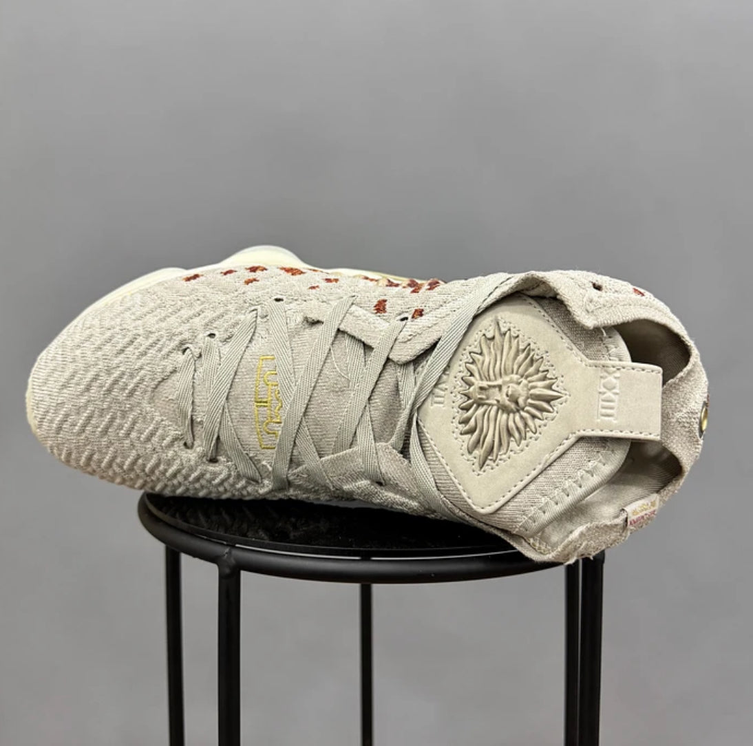 Nike Lebron 17 Win Desert