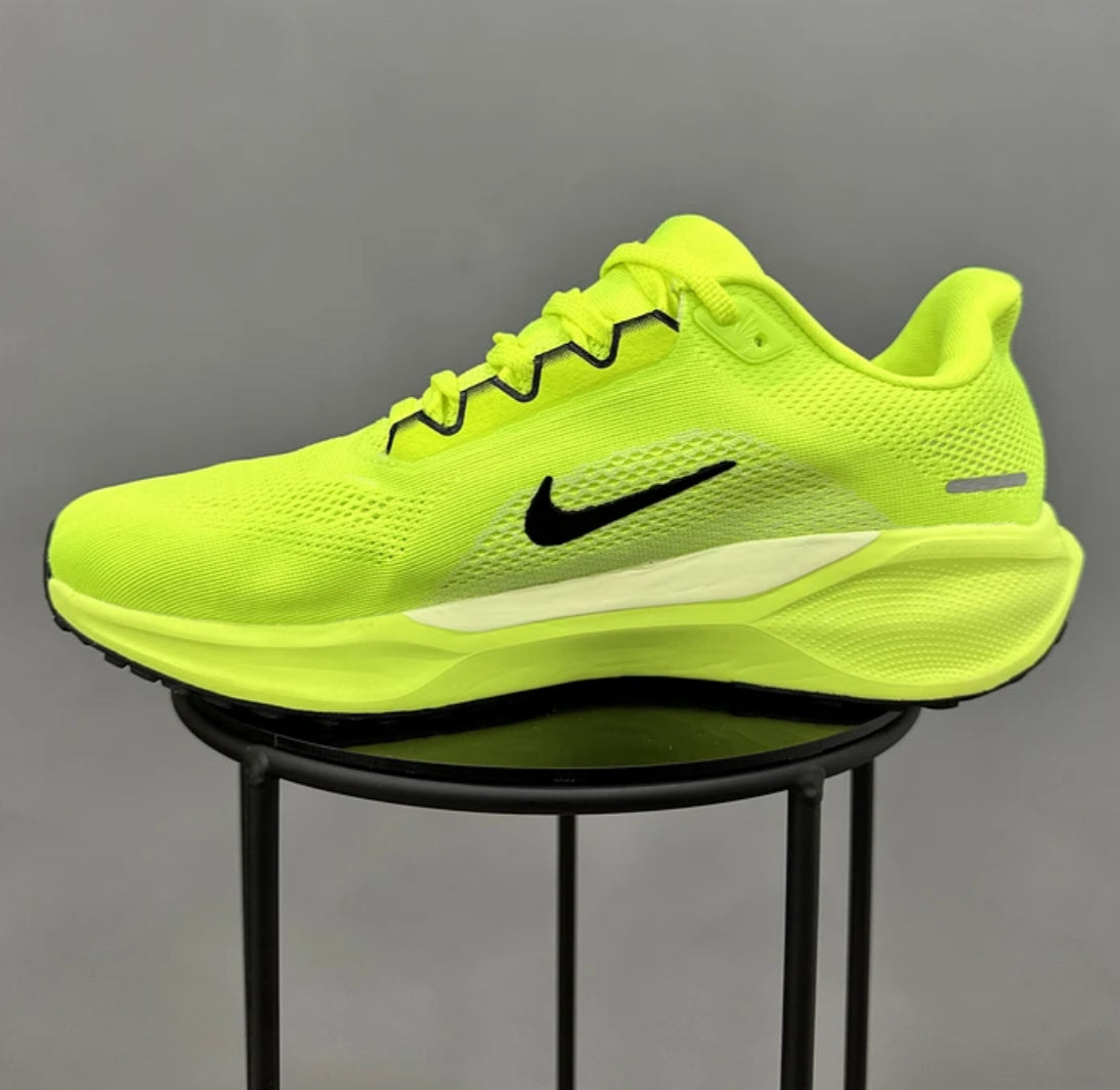 Nike Pegasus 41 Verde