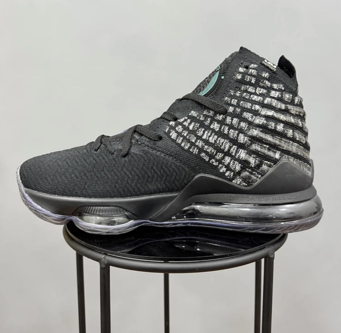Nike Lebron 17 Black