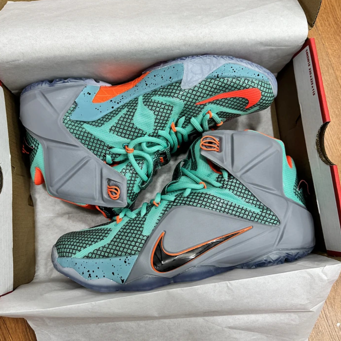 Nike Lebron 12 NSRL