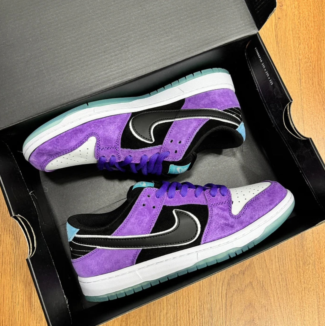 Nike Sb Dunk Court Purple