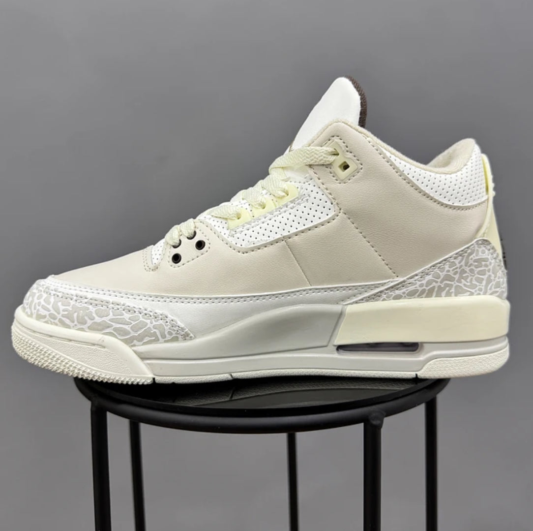 Jordan Retro 3 Travis Scott