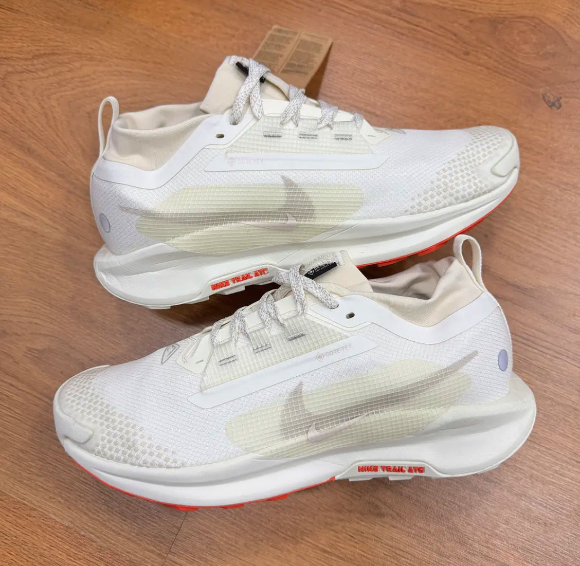 Nike Pegasus Trail 5