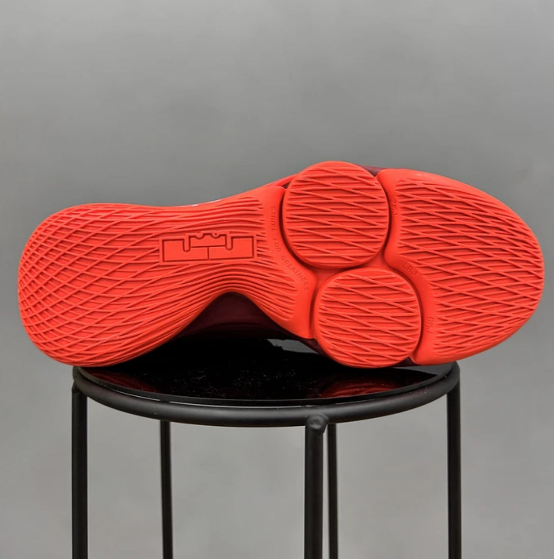 Nike Lebron Witness 5 Red