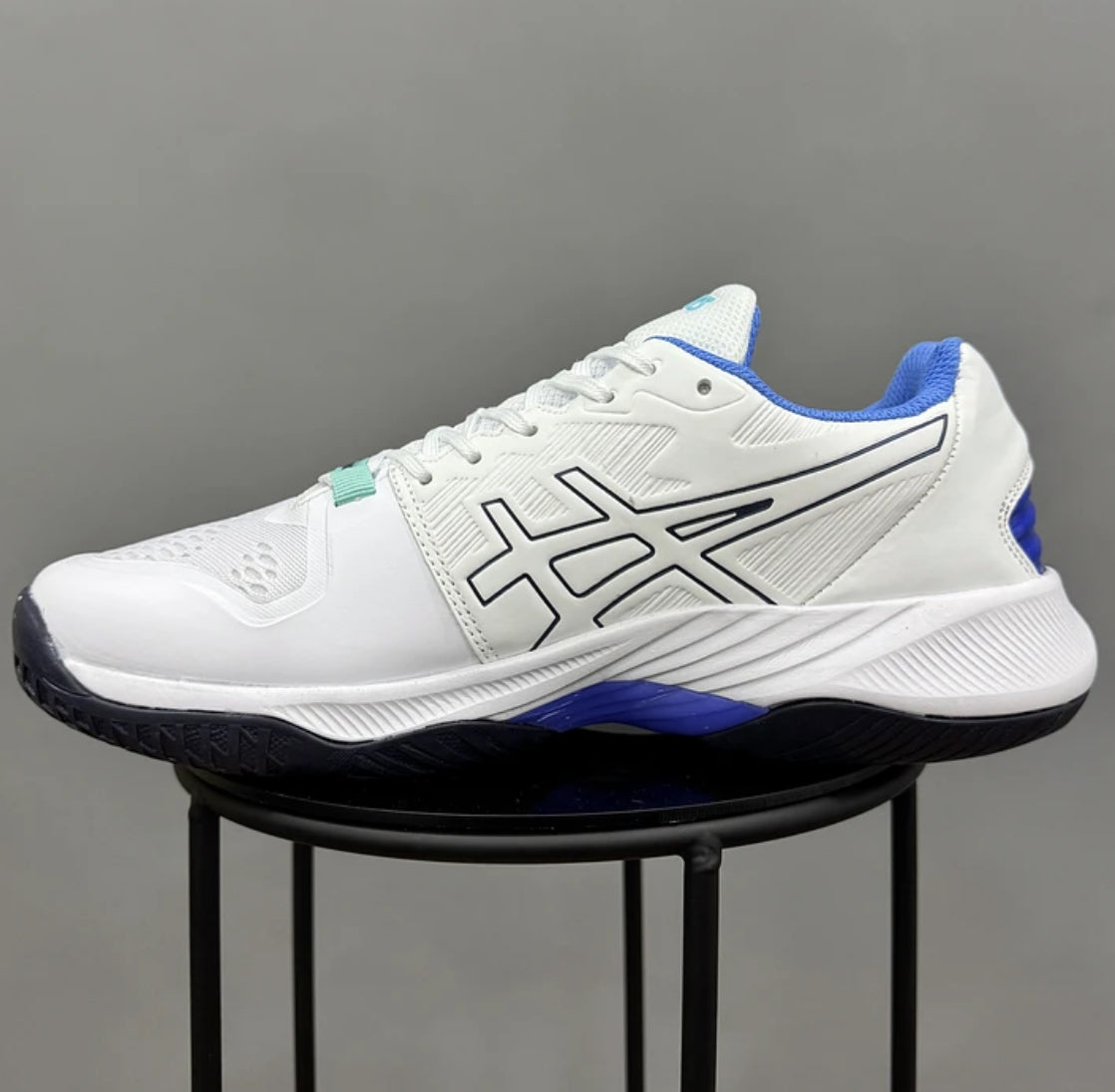 Asics Sky 2 Low White Blue