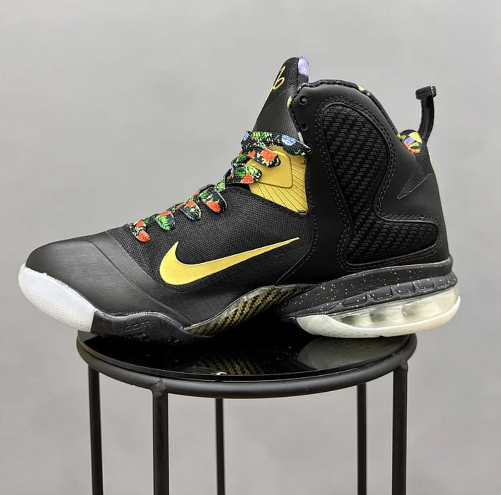 Nike Lebron 9 King