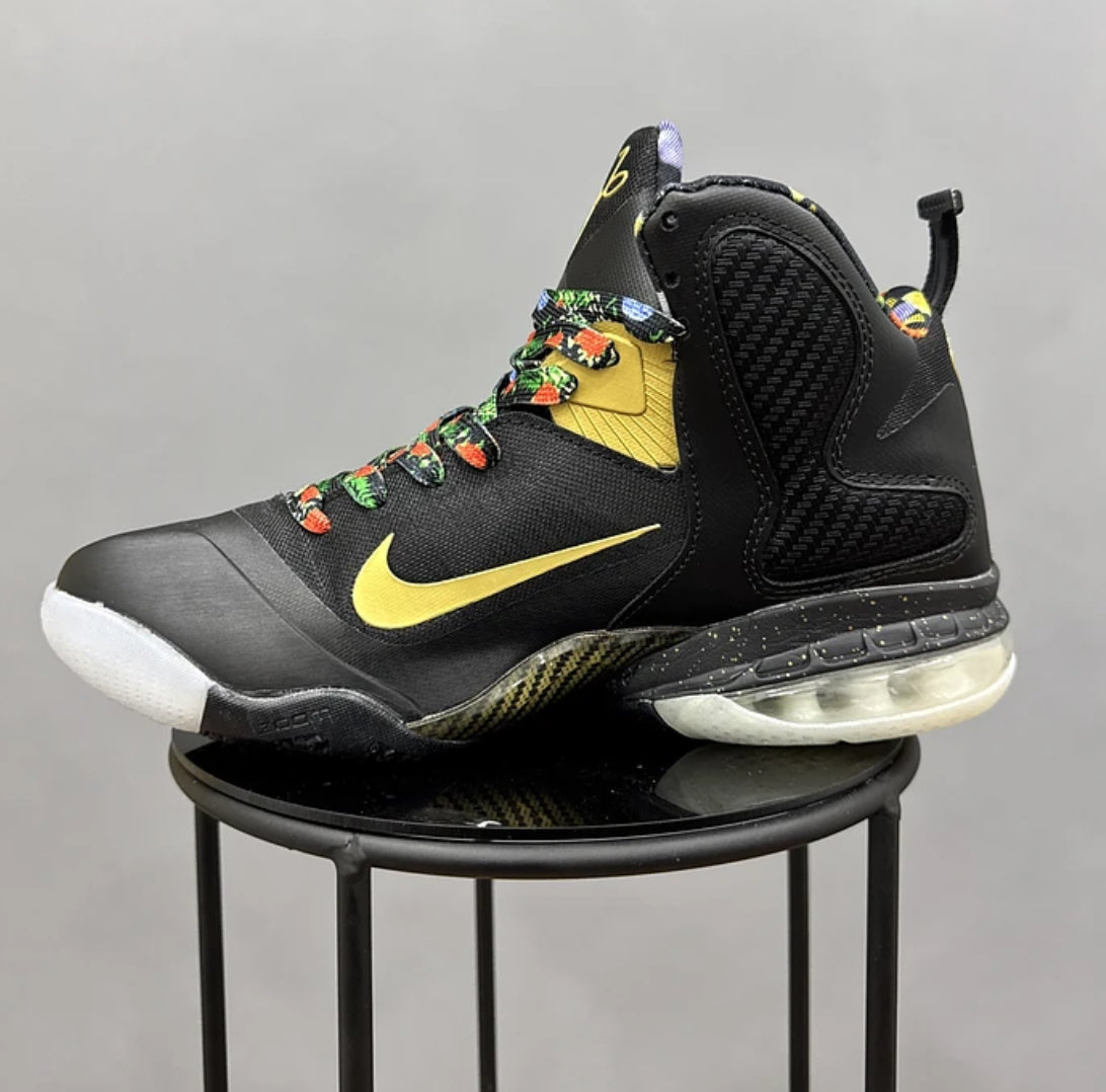 Nike Lebron 9 King