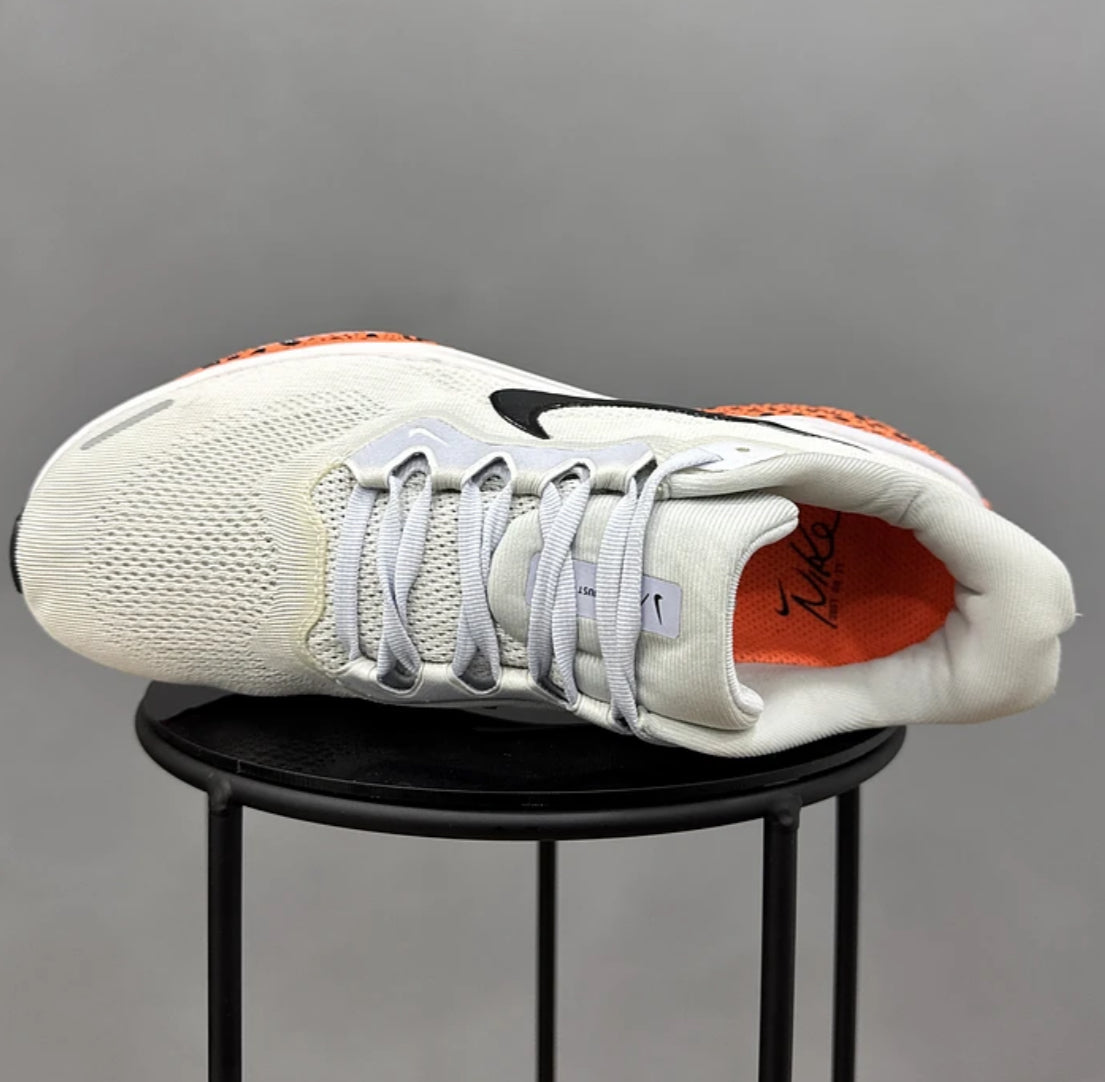 Nike Pegasus 41 Electric