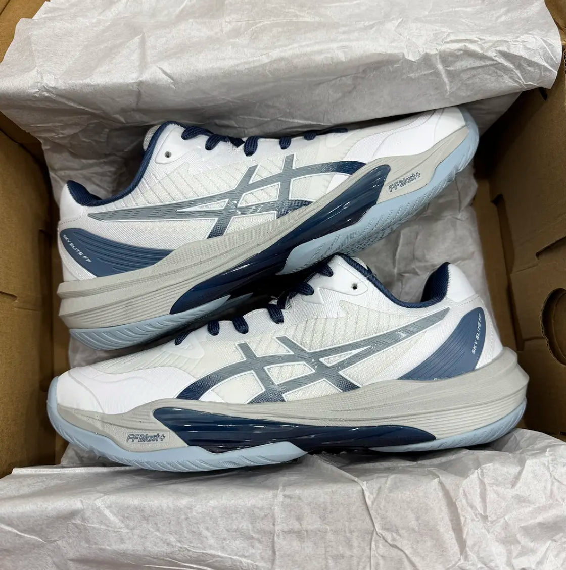 Asics Sky 3 Low White Blue