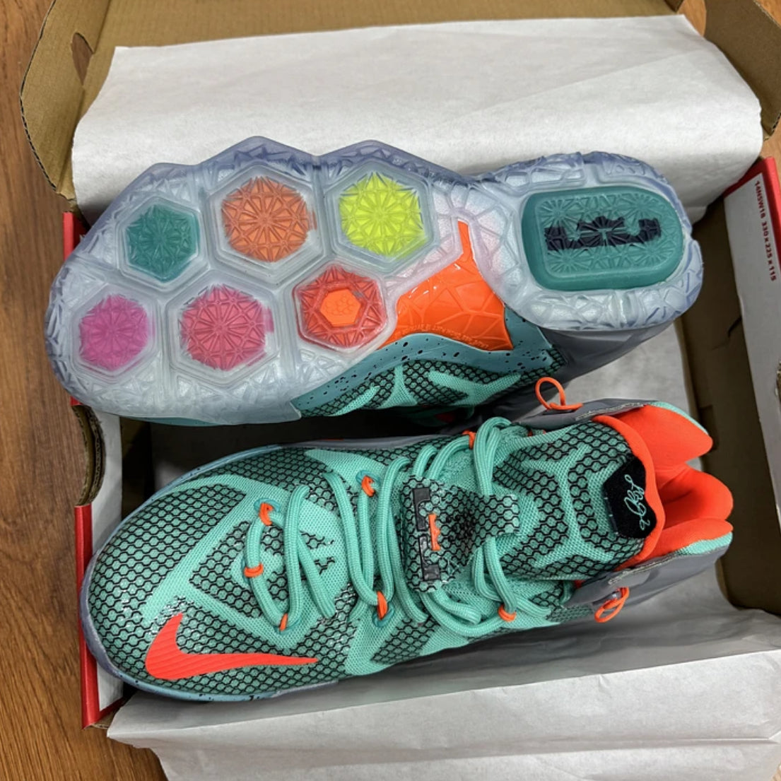 Nike Lebron 12 NSRL